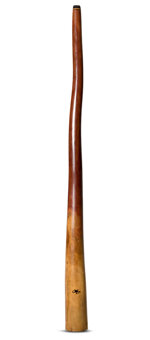 Tristan O'Meara Didgeridoo (TM277)